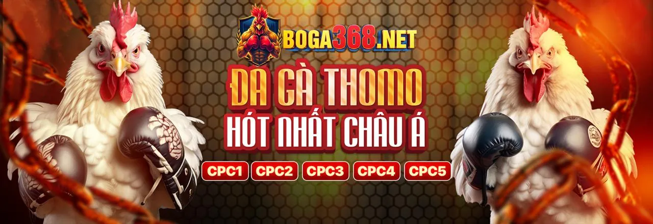 Chiến lược cá cược đá gà hiệu quả tại OK789