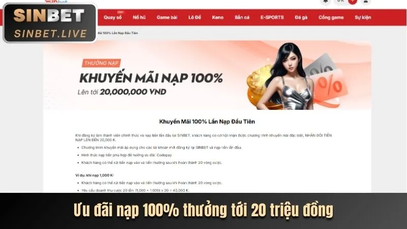Cá cược thể thao đa dạng tại OK789